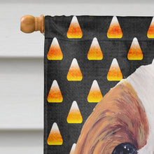 Load image into Gallery viewer, Cavalier Spaniel Blenheim Candy Corn Halloween Portrait Flag Canvas House Size