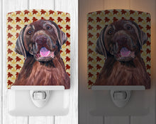Load image into Gallery viewer, Labrador Chocolate Fall Leaves Portrait Ceramic Night Light SC9224CNL