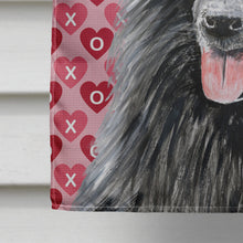 Load image into Gallery viewer, Belgian Sheepdog Hearts Love and Valentine's Day  Flag Canvas House Size