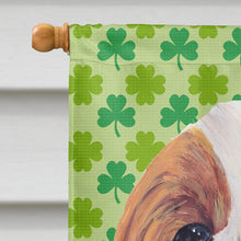 Load image into Gallery viewer, Cavalier Spaniel St. Patrick's Day Shamrock Portrait Flag Canvas House Size