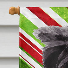Load image into Gallery viewer, Border Collie Candy Cane Holiday Christmas Flag Canvas House Size