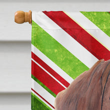 Load image into Gallery viewer, Dachshund Candy Cane Holiday Christmas Flag Canvas House Size