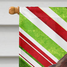 Load image into Gallery viewer, Welsh Springer Spaniel Candy Cane Holiday Christmas Flag Canvas House Size
