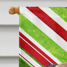 Load image into Gallery viewer, Mastiff Candy Cane Holiday Christmas Flag Canvas House Size