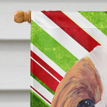 Load image into Gallery viewer, Cavalier Spaniel Candy Cane Holiday Christmas Flag Canvas House Size