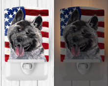 Load image into Gallery viewer, Akita USA Patriotic American Flag Ceramic Night Light SC9487CNL