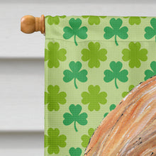 Load image into Gallery viewer, Afghan Hound St. Patrick's Day Shamrock Flag Canvas House Size SC9502CHF