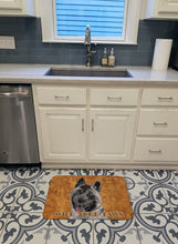 Load image into Gallery viewer, Akita Wipe your Paws Machine Washable Memory Foam Mat SC9508RUG