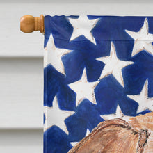 Load image into Gallery viewer, English Foxhound USA American Flag Flag Canvas House Size