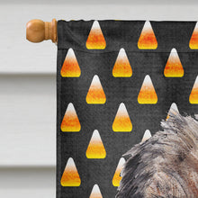 Load image into Gallery viewer, Border Terrier Halloween Candy Corn Flag Canvas House Size