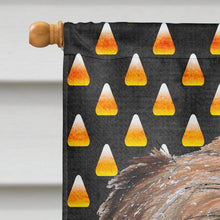 Load image into Gallery viewer, Brussels Griffon Halloween Candy Corn Flag Canvas House Size