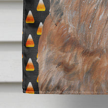 Load image into Gallery viewer, Brussels Griffon Halloween Candy Corn Flag Canvas House Size