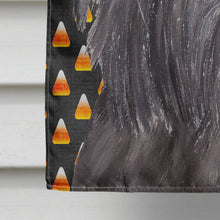 Load image into Gallery viewer, Brussels Griffon Halloween Candy Corn Flag Canvas House Size