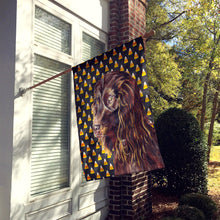 Load image into Gallery viewer, Boykin Spaniel Halloween Candy Corn Flag Canvas House Size