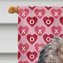 Load image into Gallery viewer, Border Terrier Valentine's Love Flag Canvas House Size