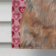 Load image into Gallery viewer, Brussels Griffon Valentine's Love Flag Canvas House Size
