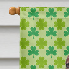Load image into Gallery viewer, Irish Setter St Patrick's Irish Flag Canvas House Size