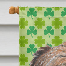 Load image into Gallery viewer, Brussels Griffon St Patrick's Irish Flag Canvas House Size