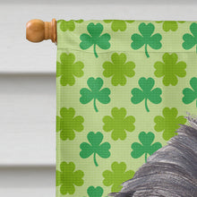 Load image into Gallery viewer, Brussels Griffon St Patrick's Irish Flag Canvas House Size