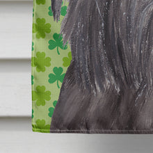 Load image into Gallery viewer, Brussels Griffon St Patrick's Irish Flag Canvas House Size