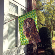 Load image into Gallery viewer, Boykin Spaniel St Patrick's Irish Flag Canvas House Size