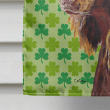 Load image into Gallery viewer, Boykin Spaniel St Patrick's Irish Flag Canvas House Size