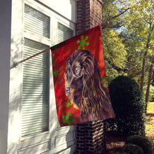 Load image into Gallery viewer, Boykin Spaniel Red Snowflake Christmas Flag Canvas House Size