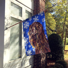 Load image into Gallery viewer, Boykin Spaniel Blue Snowflake Winter Flag Canvas House Size