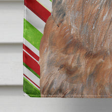 Load image into Gallery viewer, Brussels Griffon Candy Cane Christmas Flag Canvas House Size