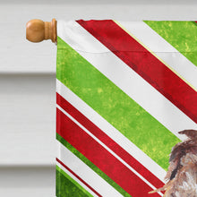 Load image into Gallery viewer, Boykin Spaniel Candy Cane Christmas Flag Canvas House Size