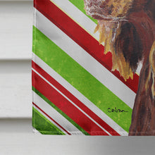 Load image into Gallery viewer, Boykin Spaniel Candy Cane Christmas Flag Canvas House Size