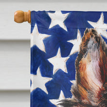 Load image into Gallery viewer, Collie with American Flag USA Flag Canvas House Size SC9622CHF