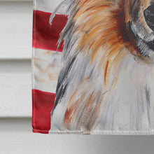 Load image into Gallery viewer, Collie with American Flag USA Flag Canvas House Size SC9622CHF
