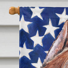 Load image into Gallery viewer, Staffordshire Bull Terrier Staffie with American Flag USA Flag Canvas House Size SC9632CHF