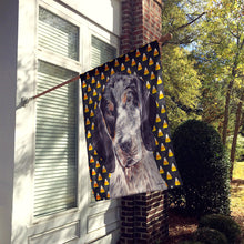 Load image into Gallery viewer, Blue Tick Coonhound Candy Corn Halloween Flag Canvas House Size SC9649CHF
