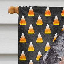 Load image into Gallery viewer, Blue Tick Coonhound Candy Corn Halloween Flag Canvas House Size SC9649CHF