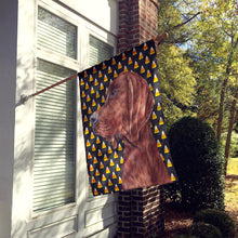 Load image into Gallery viewer, Redbone Coonhound Candy Corn Halloween Flag Canvas House Size SC9659CHF