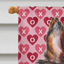 Load image into Gallery viewer, Collie Hearts and Love Flag Canvas House Size SC9694CHF