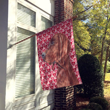 Load image into Gallery viewer, Redbone Coonhound Hearts and Love Flag Canvas House Size SC9707CHF