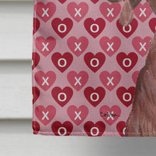 Load image into Gallery viewer, Redbone Coonhound Hearts and Love Flag Canvas House Size SC9707CHF