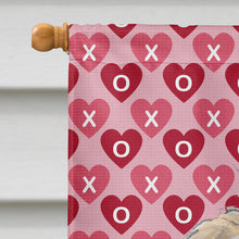 Load image into Gallery viewer, Golden Doodle 2 Hearts and Love Flag Canvas House Size SC9715CHF