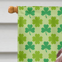 Load image into Gallery viewer, Redbone Coonhound Lucky Shamrock St. Patrick's Day Flag Canvas House Size SC9731CHF