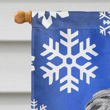 Load image into Gallery viewer, Scottish Deerhound Winter Snowflakes Flag Canvas House Size SC9789CHF