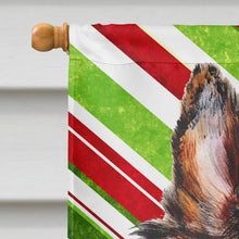 Load image into Gallery viewer, Collie Candy Cane Christmas Flag Canvas House Size SC9790CHF