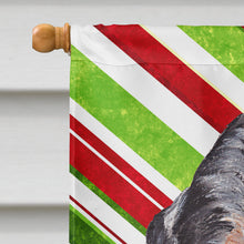 Load image into Gallery viewer, Blue Tick Coonhound Candy Cane Christmas Flag Canvas House Size SC9793CHF