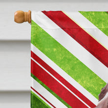 Load image into Gallery viewer, Redbone Coonhound Candy Cane Christmas Flag Canvas House Size SC9803CHF