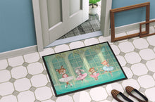 Load image into Gallery viewer, Animal Ballerinas Dancing Doormat - 18x27 Decorative Floor Mat – Indoor/Outdoor Rug with Artistic Flair