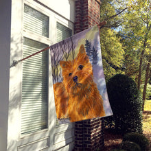 Load image into Gallery viewer, Norwich Terrier Flag Canvas House Size