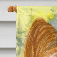 Load image into Gallery viewer, Papillon Flag Canvas House Size