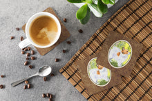 Load image into Gallery viewer, Papillon Coasters - Set of 4 Lightweight Foam, Absorbent Drink Coasters